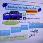 14650162 1135385246498389 2703809064475104235 n