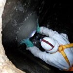 45471169 1960668557303383 6592744077458931712 n