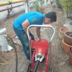 65238767 2312978218739080 788327971436888064 n