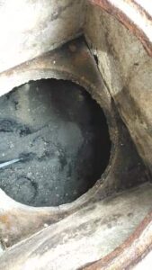 65922930 373863826608115 5538579002156908544 n