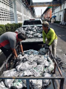 82391318 2724621557574742 5450194562389639168 n