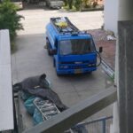 12115418 953320284704887 5836420609733332363 n