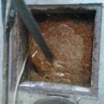 12321167 941892319181017 7350185944911407257 n