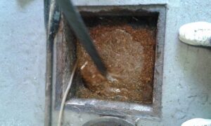 12321167 941892319181017 7350185944911407257 n