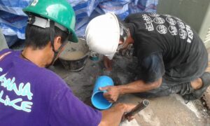 12341108 941887735848142 7874778519142126963 n