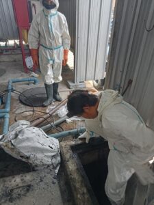 297393899 491759756285220 5074621686589939337 n