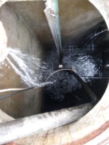 62381853 2284706021566300 1988425353873326080 n