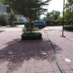 65630175 2323049491065286 2728172018217254912 n