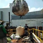 69281238 1276349462544336 2441389252202725376 n