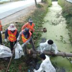 79960794 2670160016354230 1316735431336787968 n