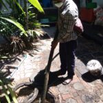 98467708 2992223347481227 4122032658324652032 n