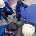 Saaddee.com บริการแก้ไข ท่อตัน ส้วมตัน สูบส้วม ดูดส้วม 9
